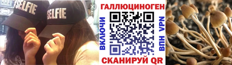 Псилоцибиновые грибы Cubensis  Находка 